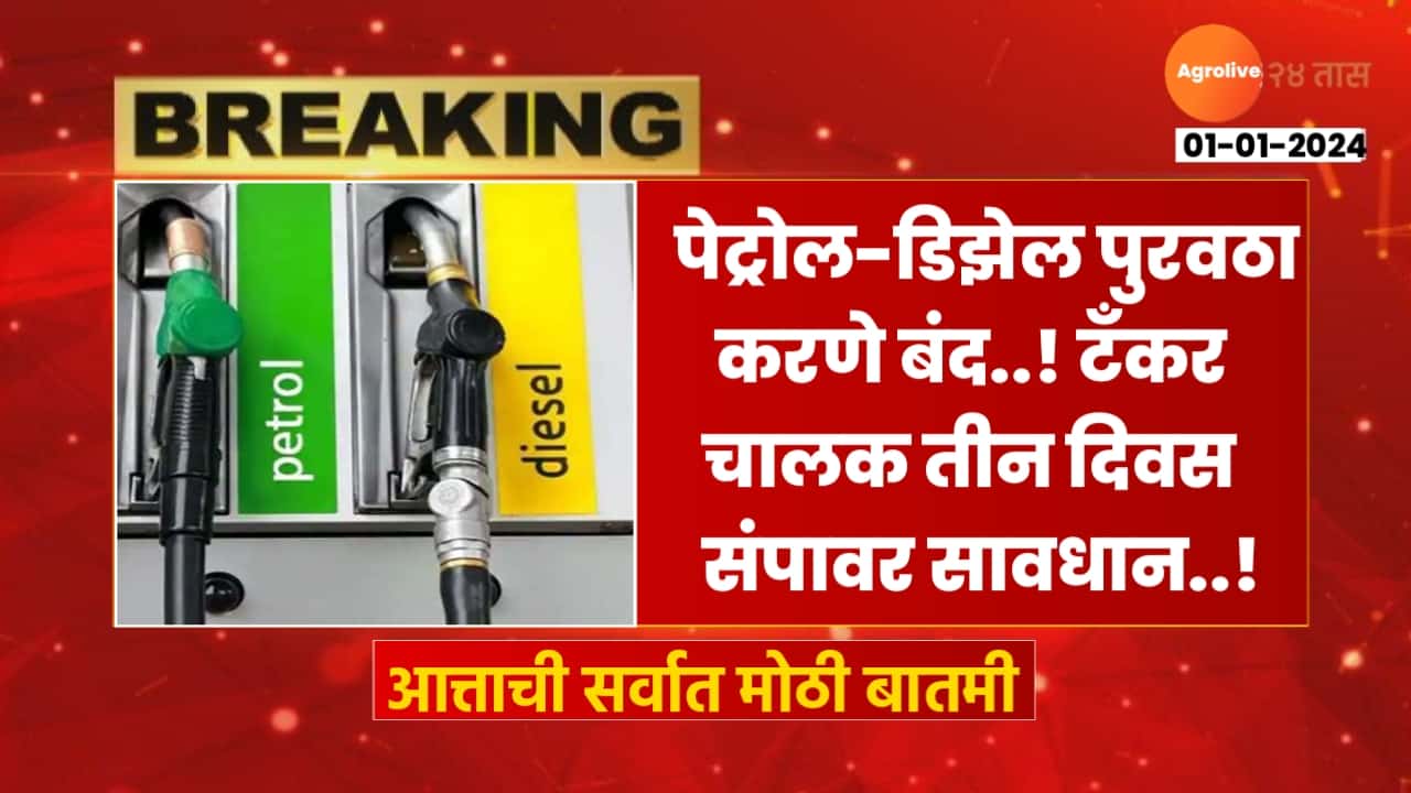 Petrol diesel news today