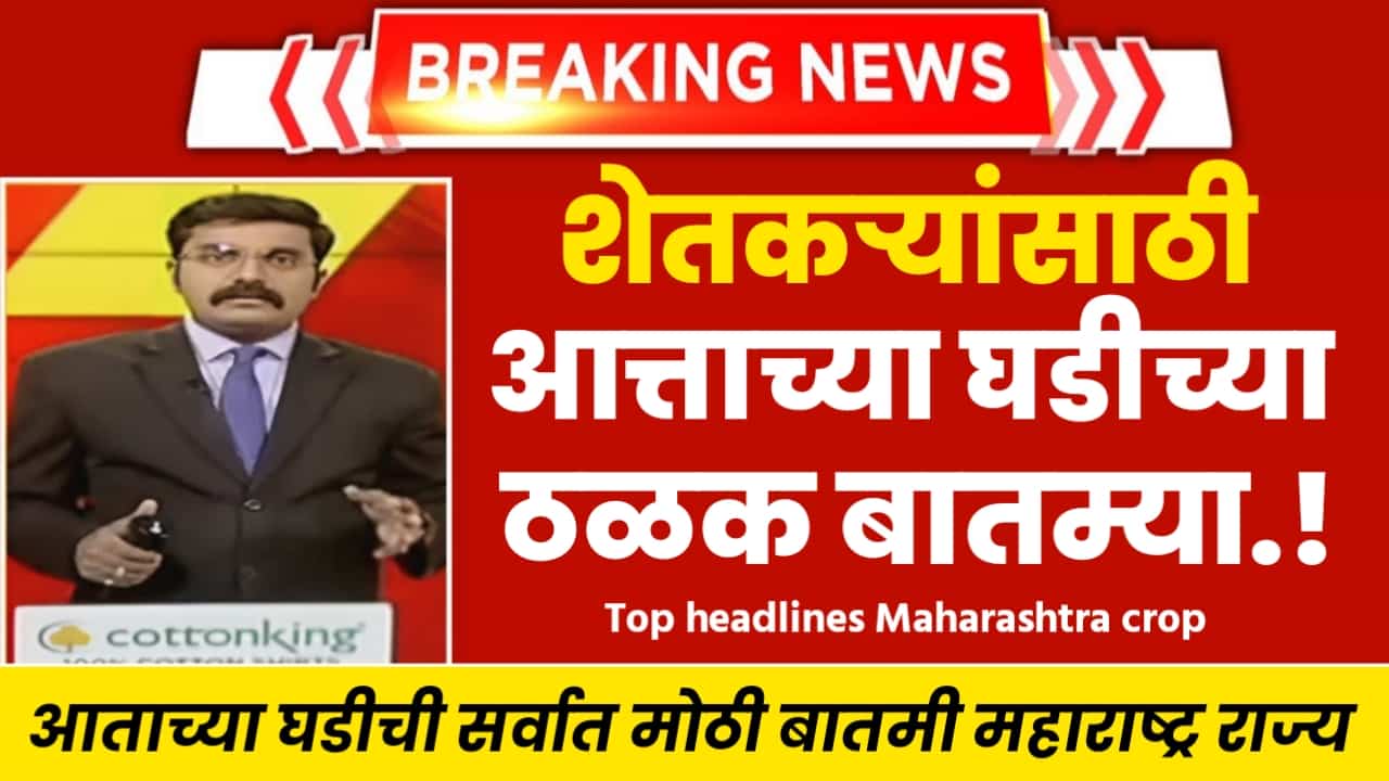 top headline Maharashtra crop