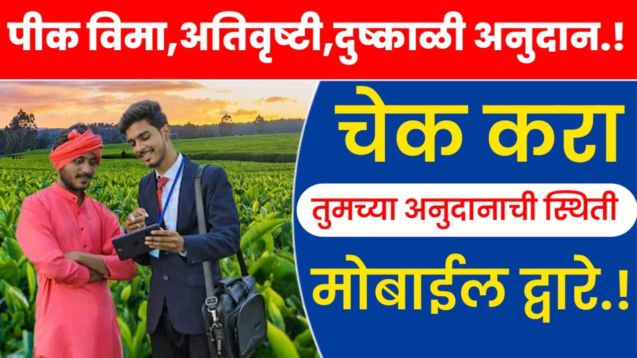 Crop Money Status Check Mobile Phone